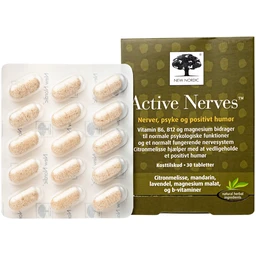 Active Nerves